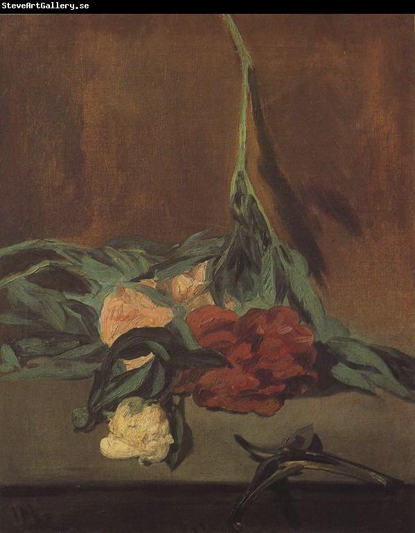 Edouard Manet Vase of Peonise on a Pedestal (mk40)